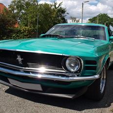Ford Mustang grabbar special