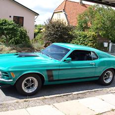 Ford Mustang grabbar special