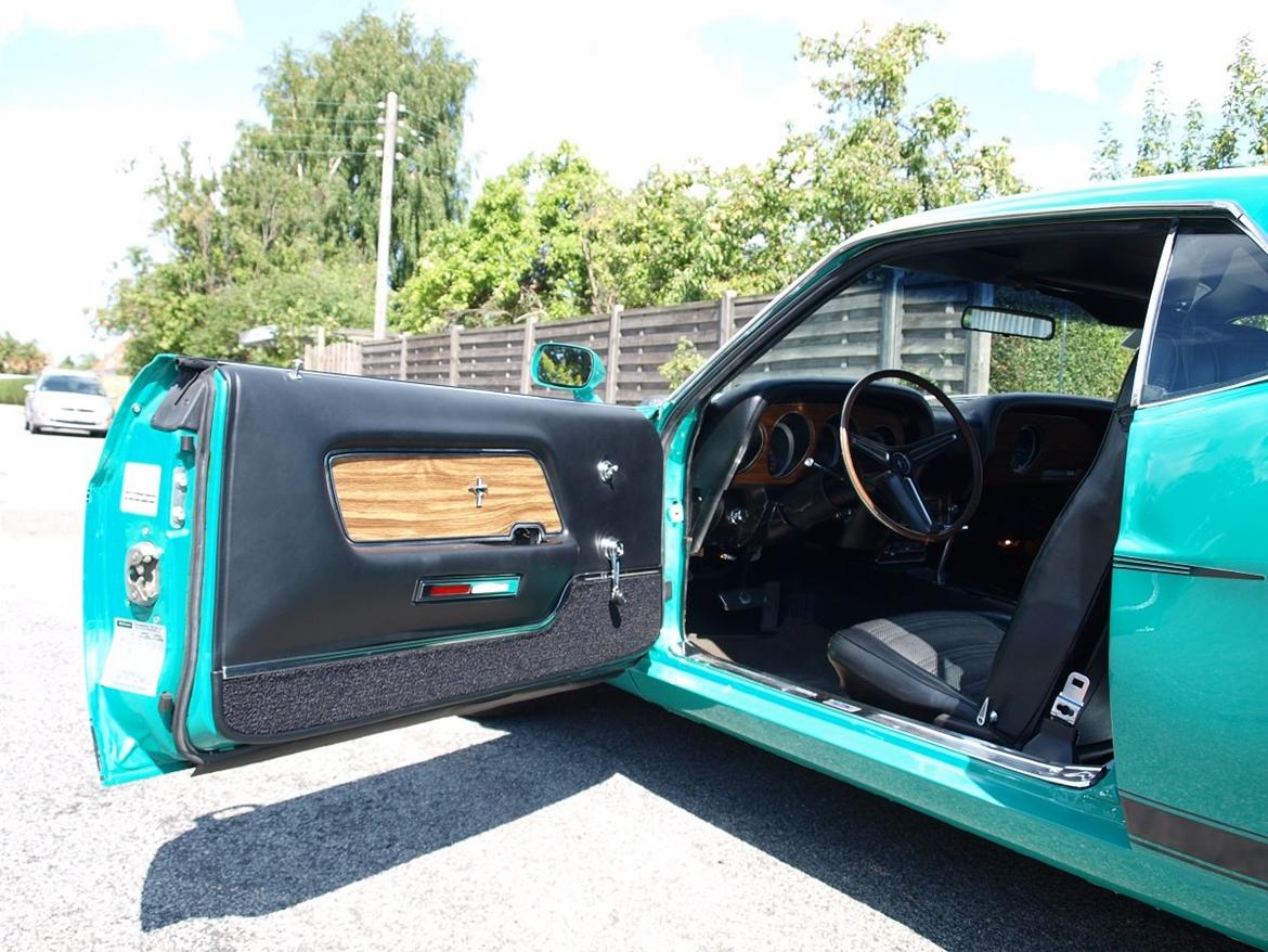 Ford Mustang grabbar special billede 5