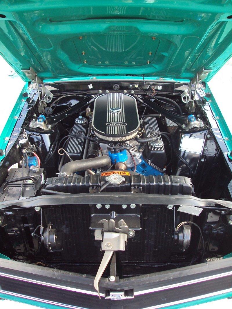 Ford Mustang grabbar special billede 6