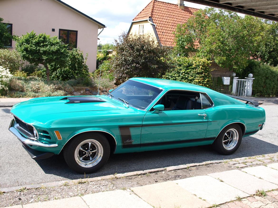 Ford Mustang grabbar special billede 1