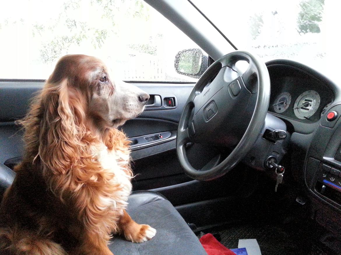 Honda Civic 1,5i Ls - *SOLGT* billede 16