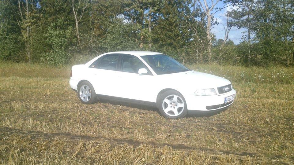 Audi A4 billede 4