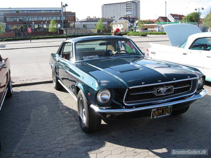 Ford mustang  billede 8