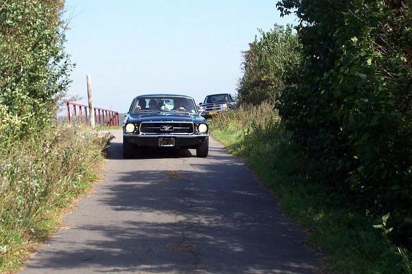Ford mustang  billede 13