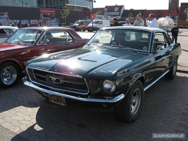 Ford mustang  billede 16