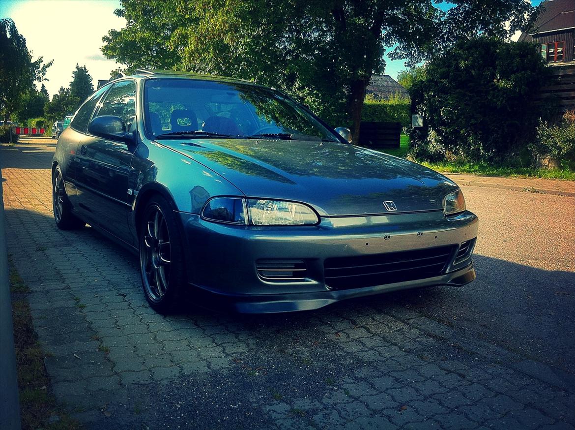 Honda Civic ESi  - MSH billede 1