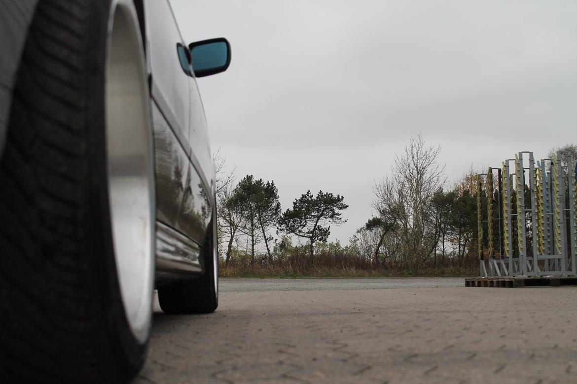 BMW E39 523i billede 8