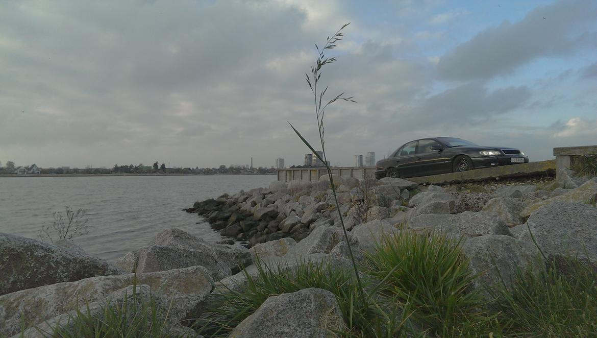 Opel Omega B 2,6 V6 aut. Elegance billede 17