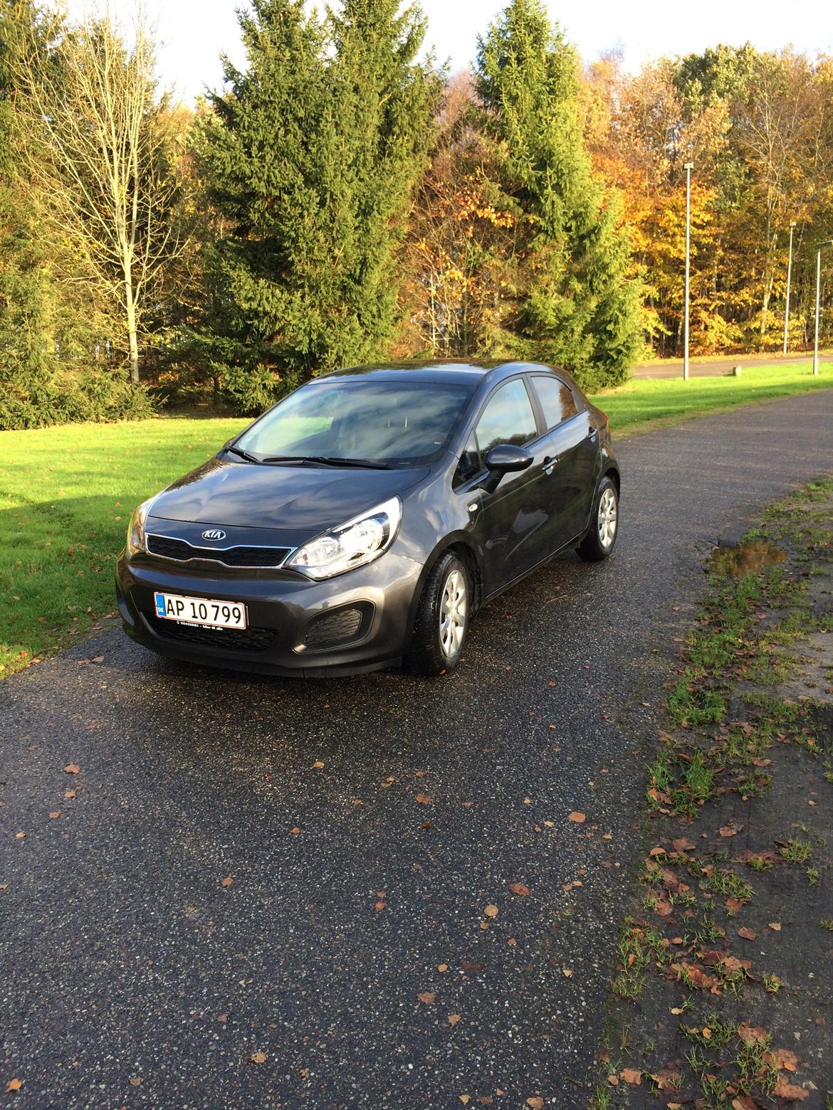 Kia Rio billede 9
