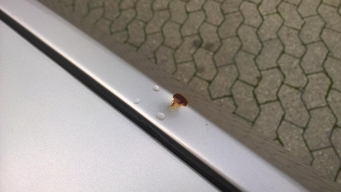 VW Polo classic C billede 17