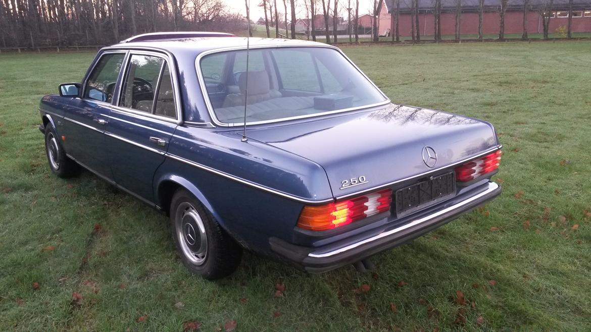 Mercedes Benz 250 billede 17