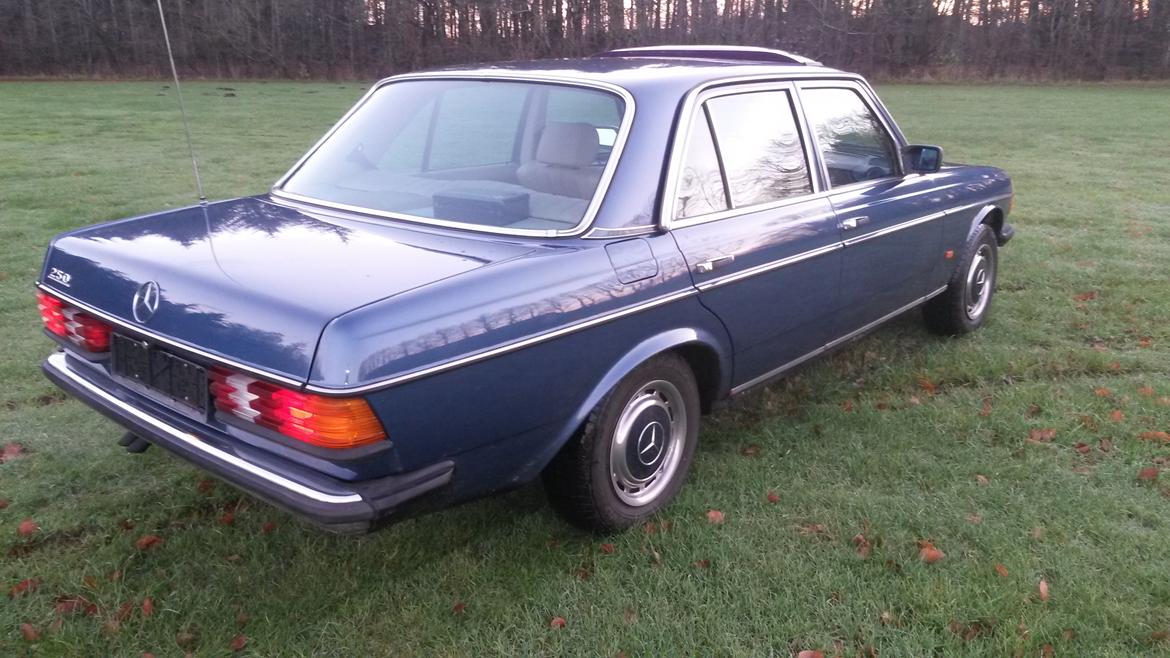 Mercedes Benz 250 billede 18