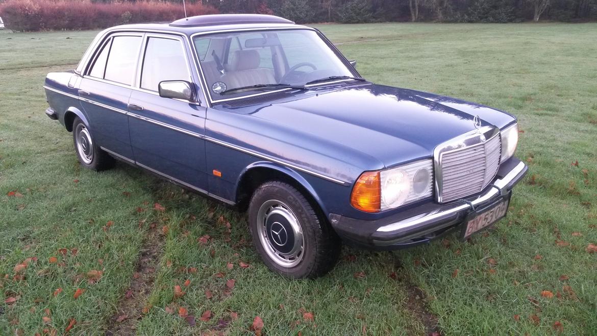 Mercedes Benz 250 billede 19