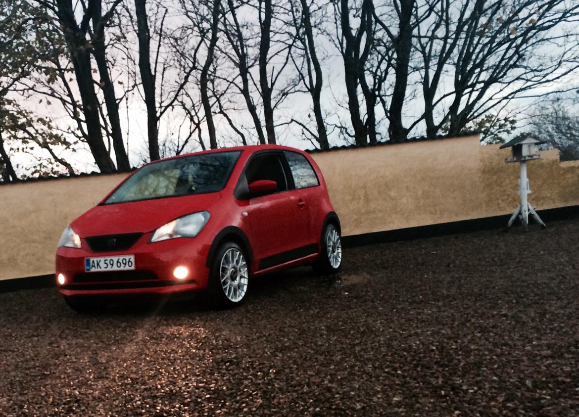 Seat Mii (FREDDY) billede 1