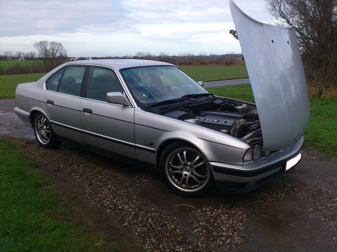 BMW E34 520i 24V - Bilen på de gamle fælge. Og bemærk motorhjælmen åbner som den skal på en rigtig BMW:) billede 15