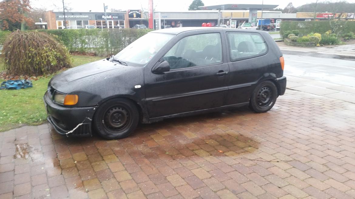 VW polo 6n billede 1