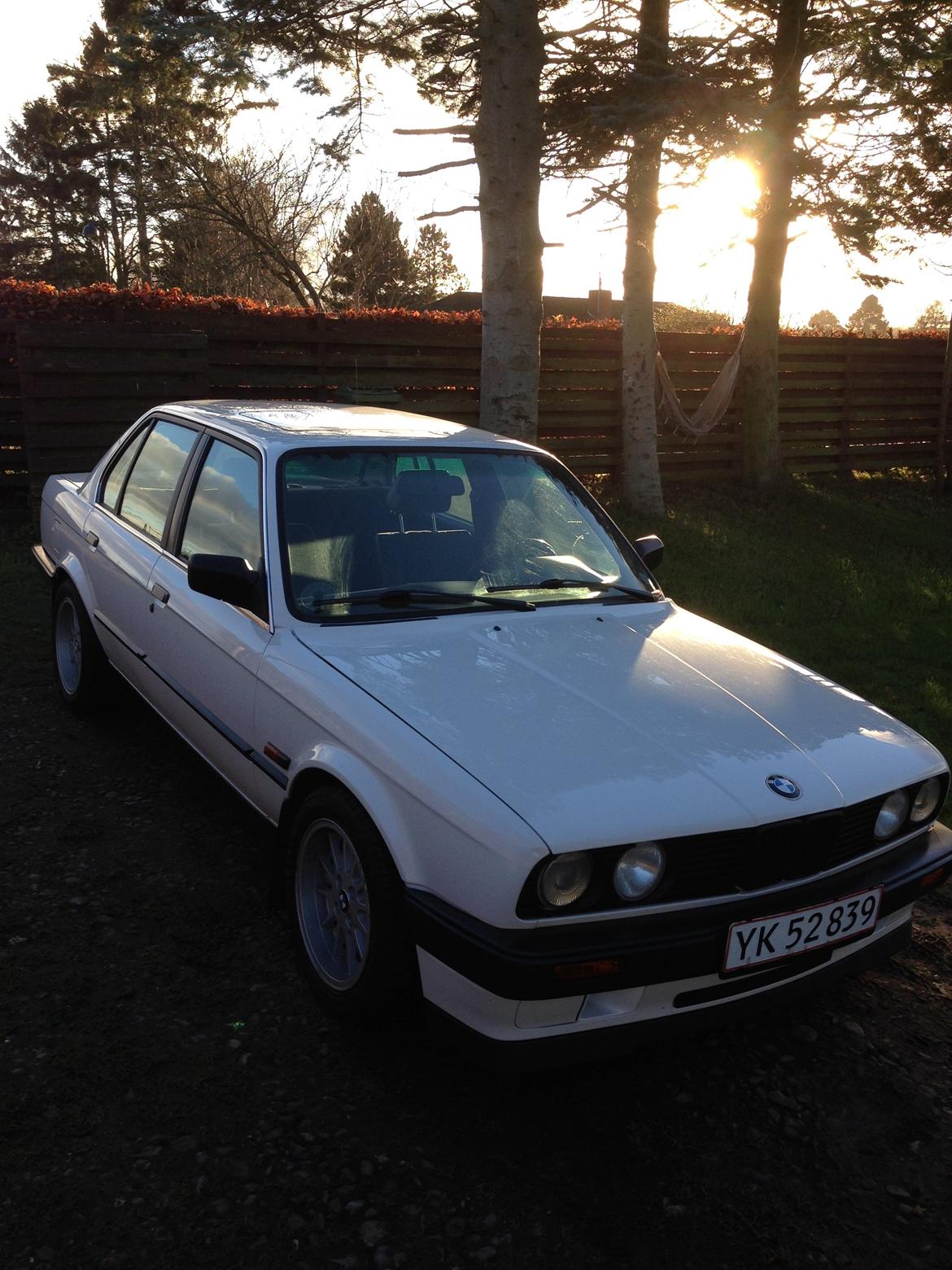 BMW 316i billede 5