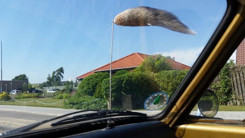 Opel Kadett B billede 9