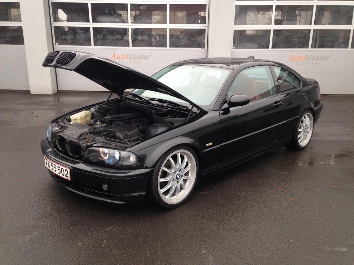 BMW E46 320ci coupe billede 14