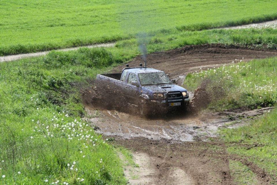 Nissan king cab billede 1