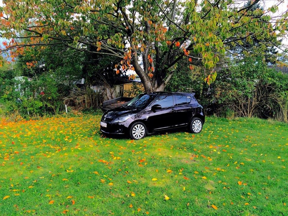 Suzuki Swift Cruise S billede 5