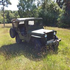 Jeep willys