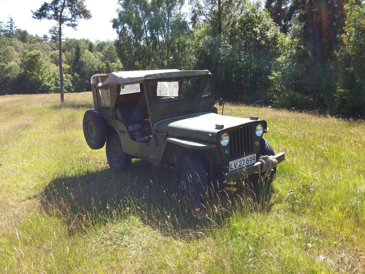 Jeep willys billede 1