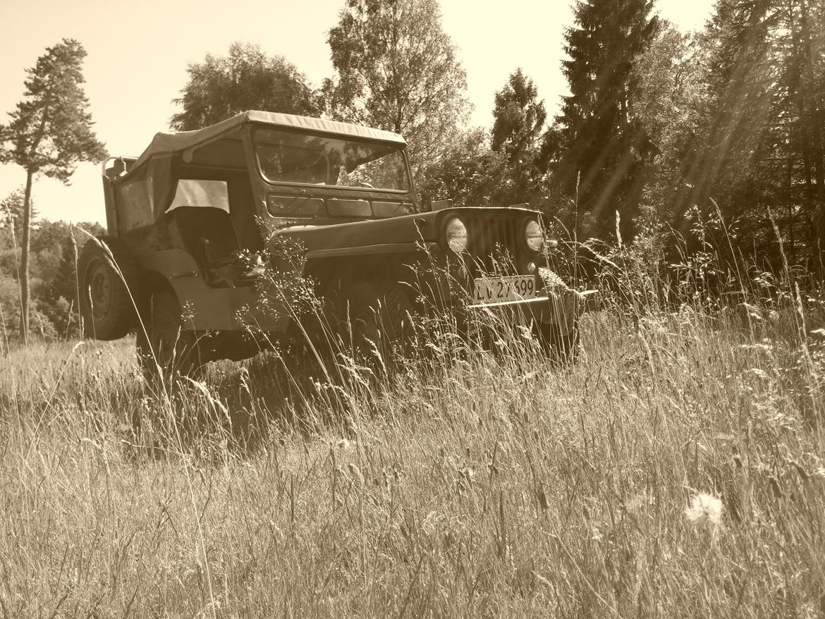 Jeep willys billede 2