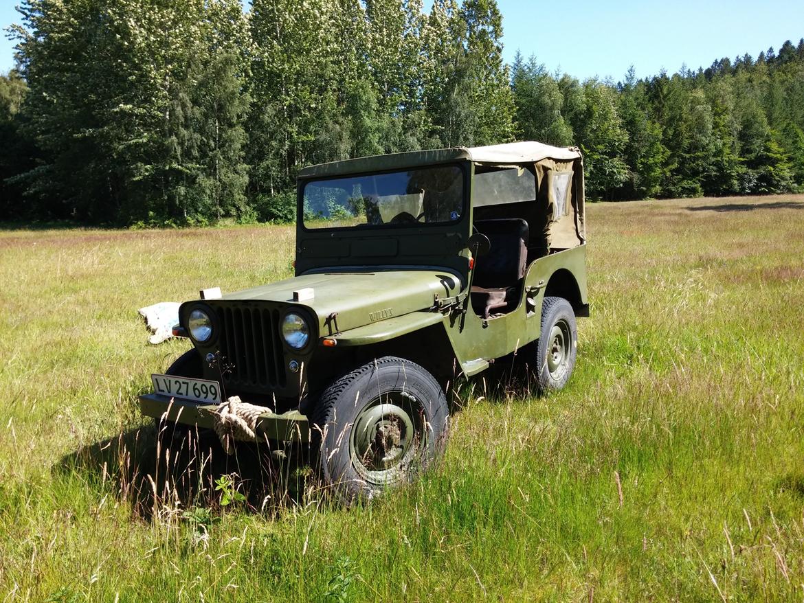Jeep willys billede 4
