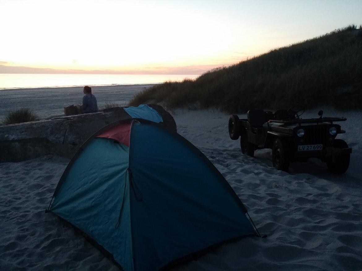 Jeep willys billede 5