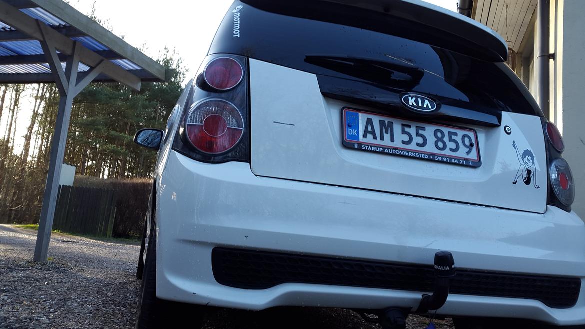 Kia picanto sport billede 19