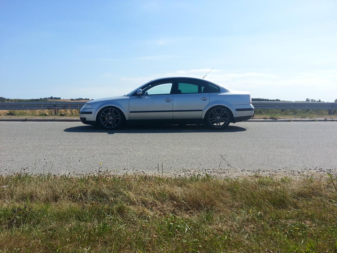 VW Passat 102 DK billede 8