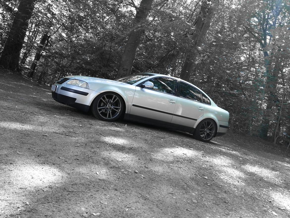 VW Passat 102 DK billede 10