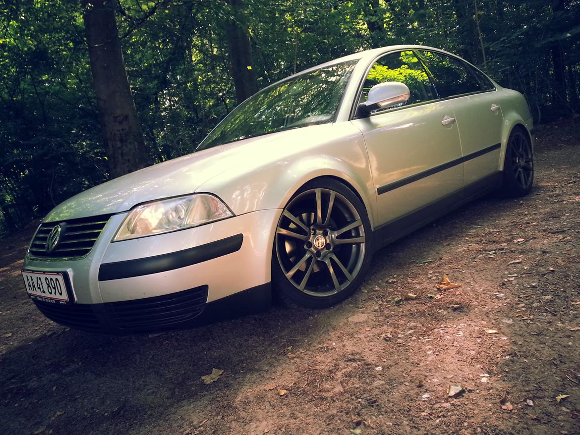 VW Passat 102 DK billede 11