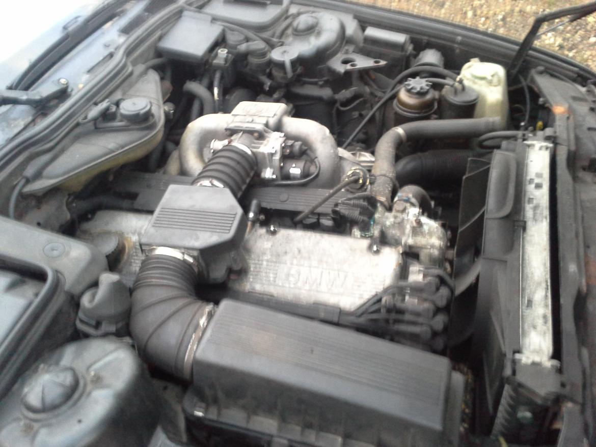 BMW 735i e32 3,5 (eksport) billede 4