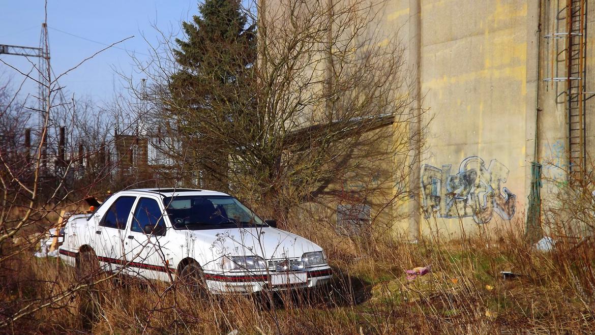Ford Sierra 2.0i DOHC 8V - Lig mærke til nr. pladen er sløret BAG ukrudten ;-) billede 8