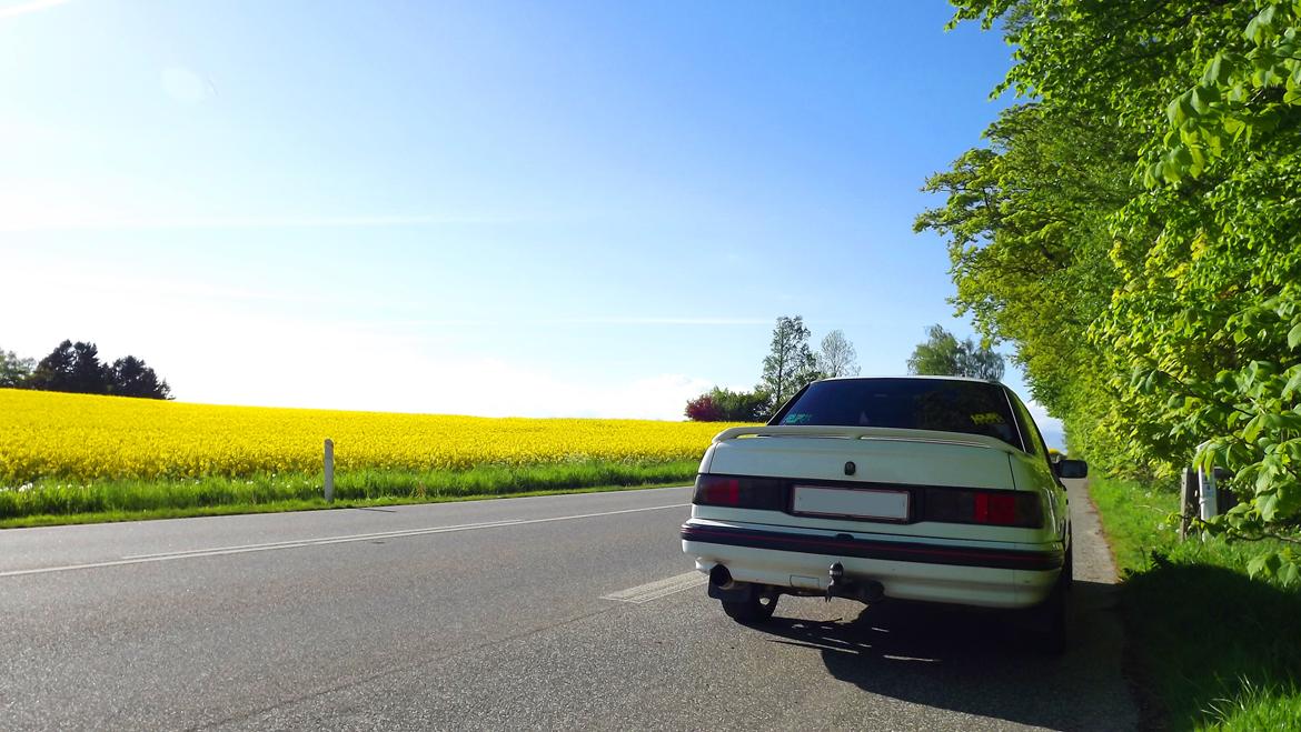 Ford Sierra 2.0i DOHC 8V billede 2