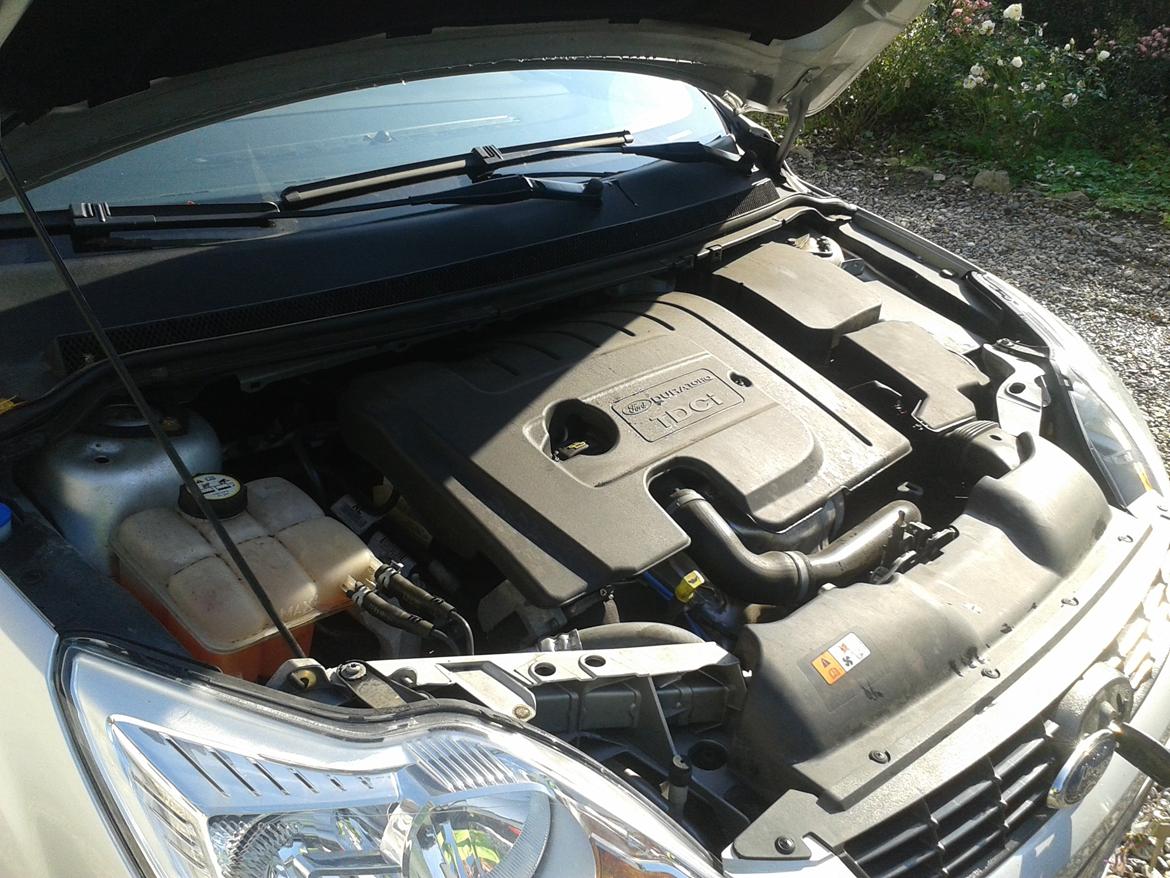 Ford Focus 1,6 TDCI 90Hk St.car Trend billede 22