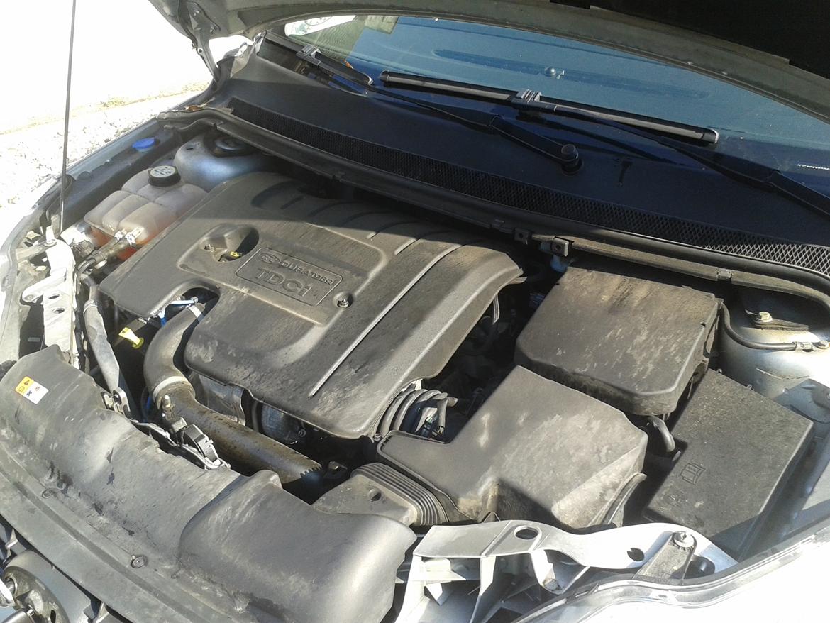 Ford Focus 1,6 TDCI 90Hk St.car Trend billede 21