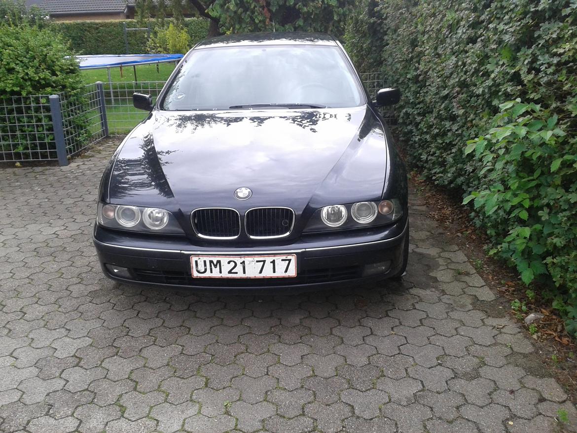 BMW 523i billede 11