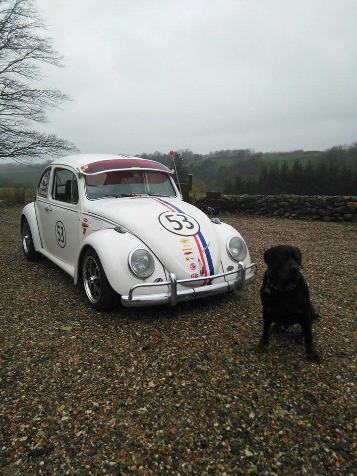 VW bobbel Herbie look billede 16