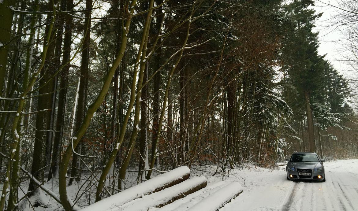 Audi A4 Avant S-line billede 26