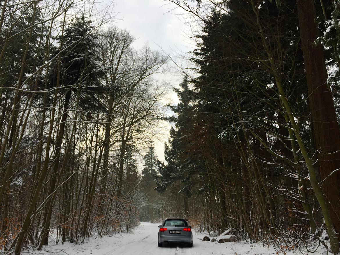 Audi A4 Avant S-line billede 27