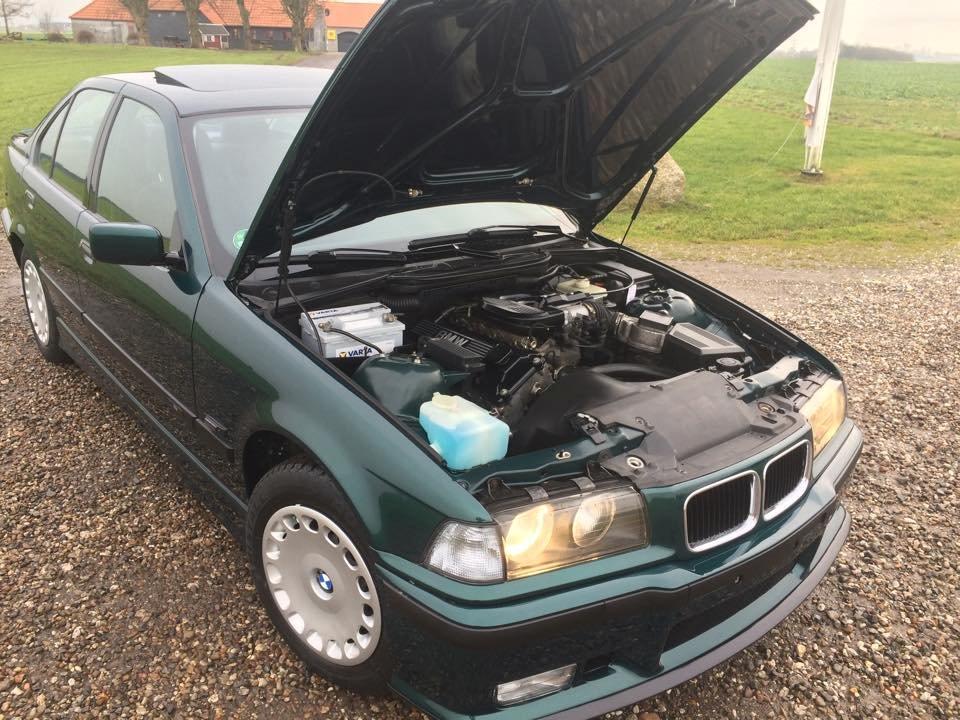BMW E36 318i billede 13