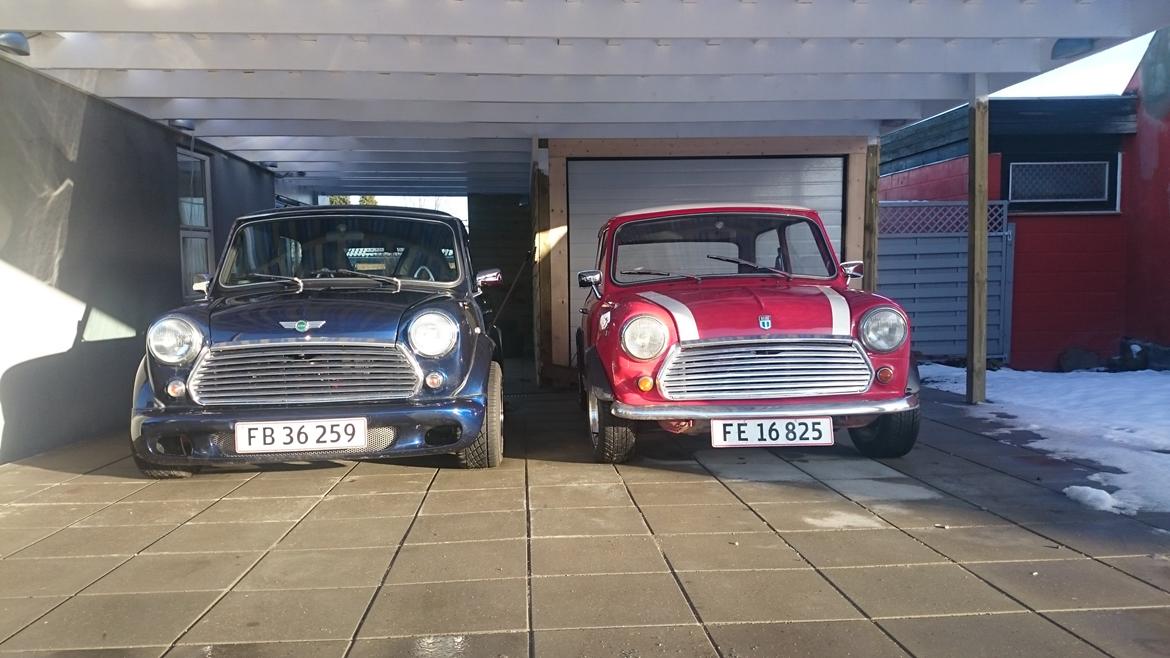 Mini Morris Mascot billede 13