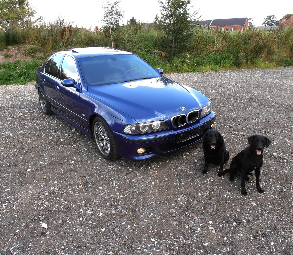 BMW m5 - de to trofaste i værkstedet :-) billede 13