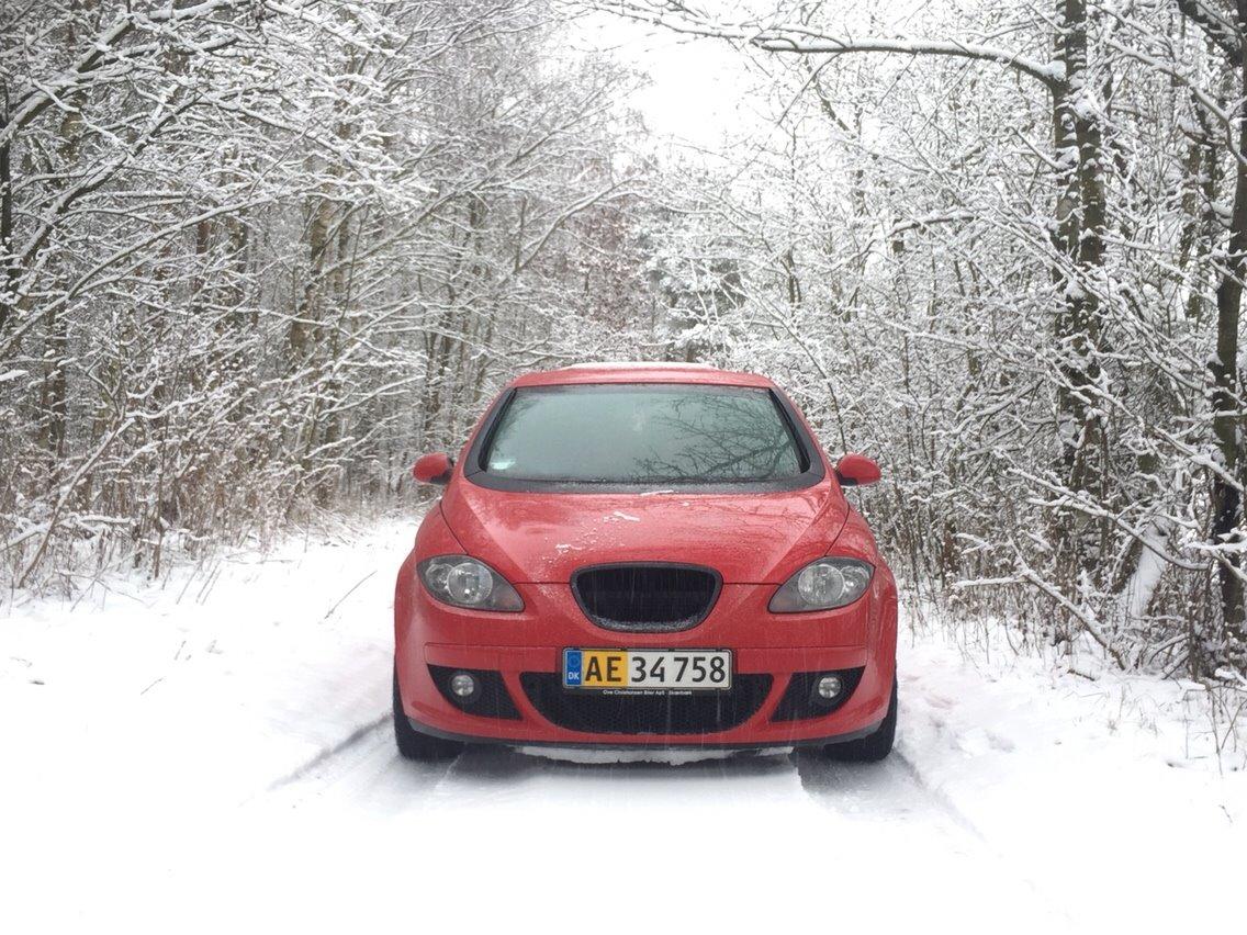 Seat Altea billede 1