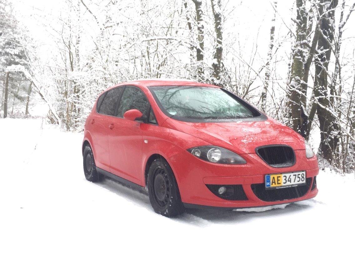 Seat Altea billede 2