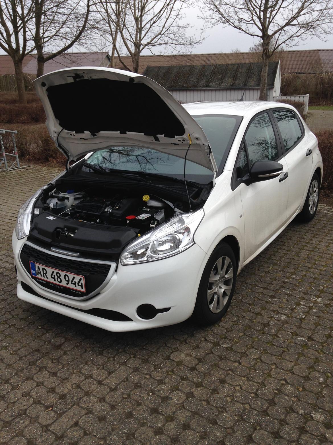 Peugeot 208 BG´s første 2015 model billede 4